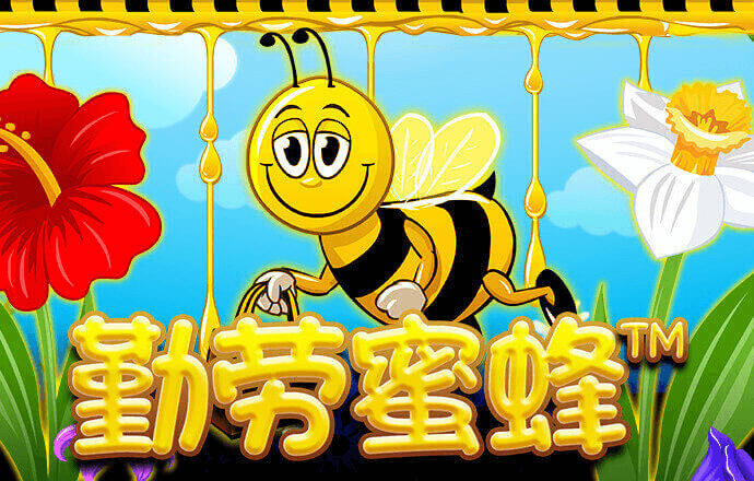 bt体育官网app